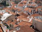 antenas and roofs watching TV