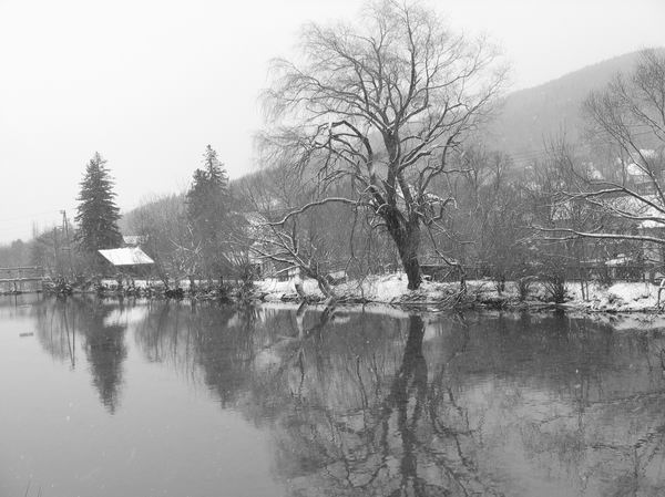 payerbach-in-bw