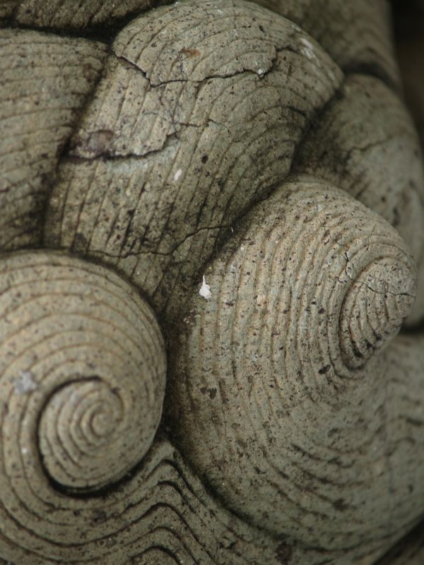 stone-snails