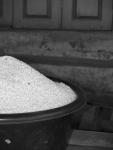 ricepot