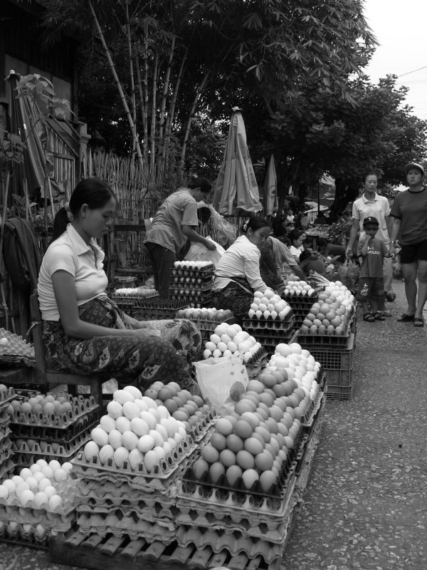 the-egg-women