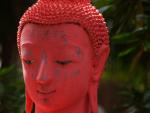 the-pink-buddha