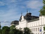 university
